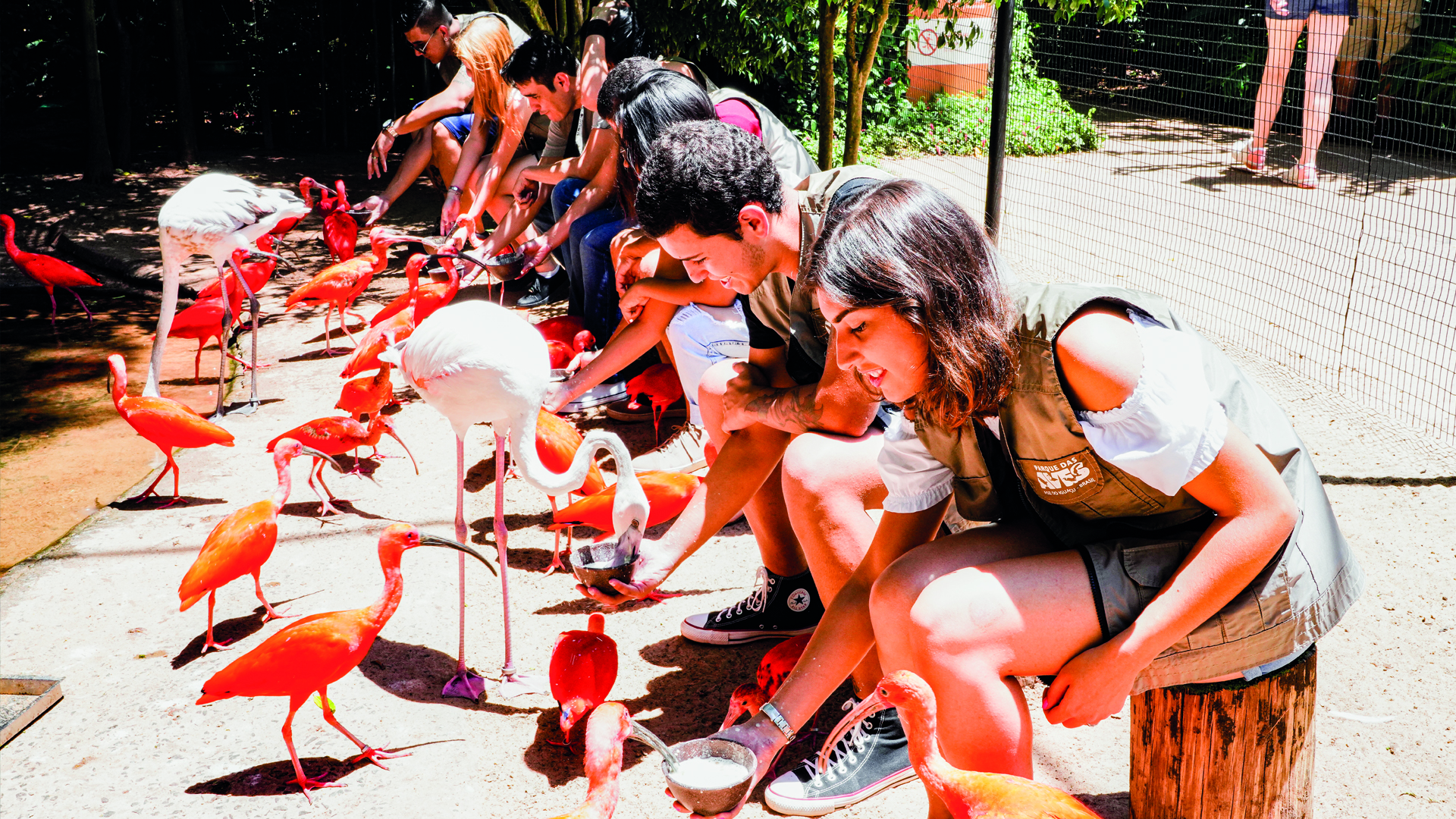 Parque das Aves